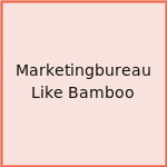 Marketingbureau Like Bamboo